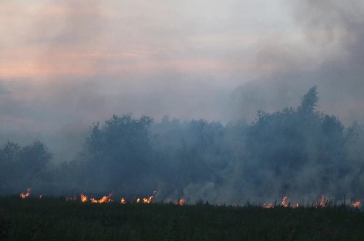    Пожарным удалось ликвидировать два лесных пожара в Забайкалье