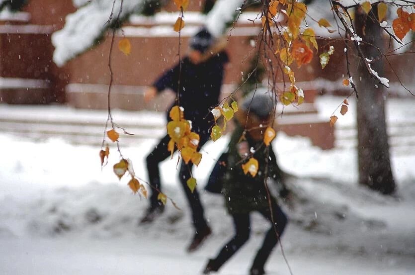 Фото: Валерий Иванов