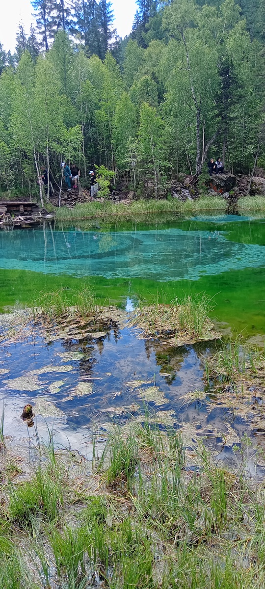 Фото моё личное