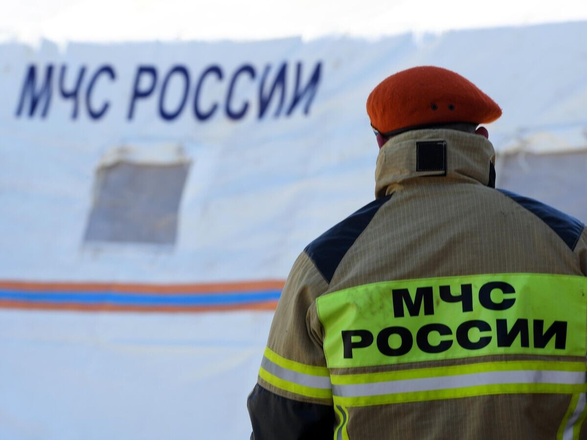    Сотрудник МЧС России© РИА Новости / Максим Богодвид