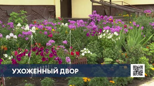 В Нижнекамске жильцы дома устроили цветники у подъездов