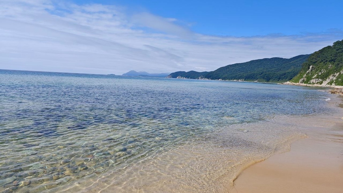     Источник: Погода 25 регион