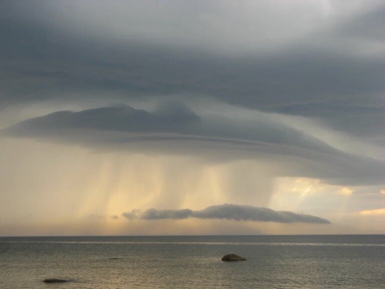    Фото: Общественная Служба Новостей Мария Черных