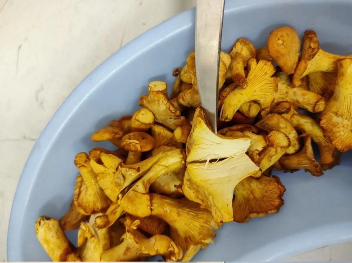 Фото сайта Минсельхоза России