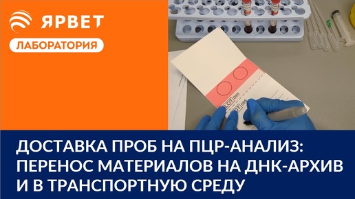 Доставка проб на ПЦР-анализ: Перенос материалов на ДНК-архив и в транспортную среду