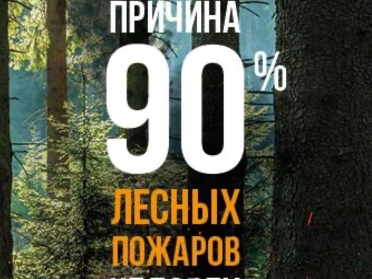     Фото: Минприроды Калужской области