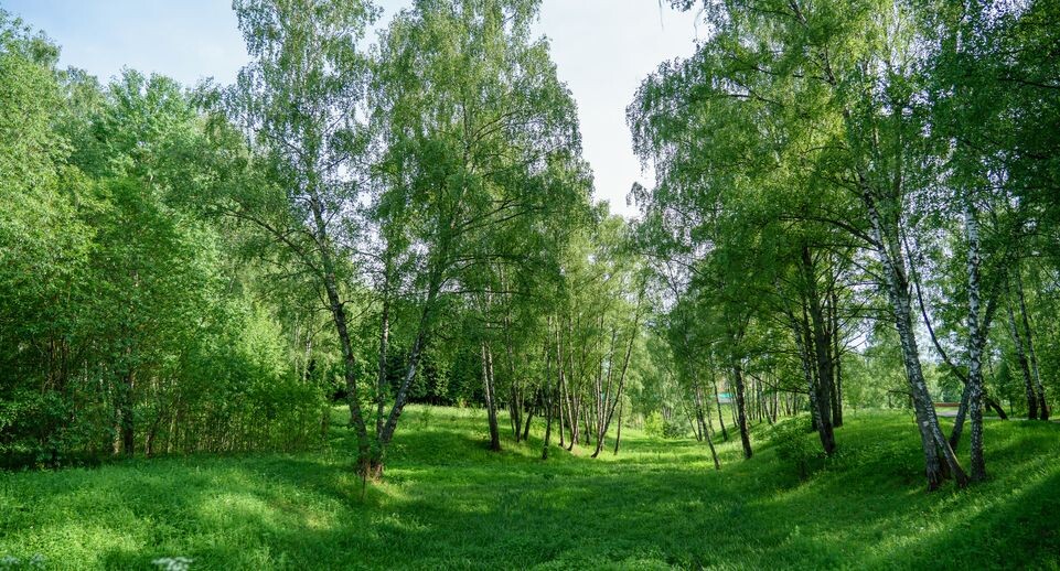    Медиасток.рф