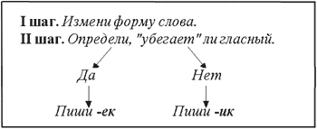 Алгоритм выбора гласной в безударном суффиксе существительного -ек и -ик