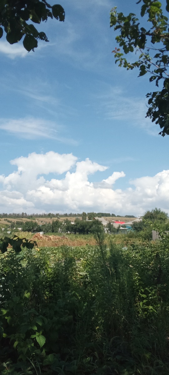 Личное фото.