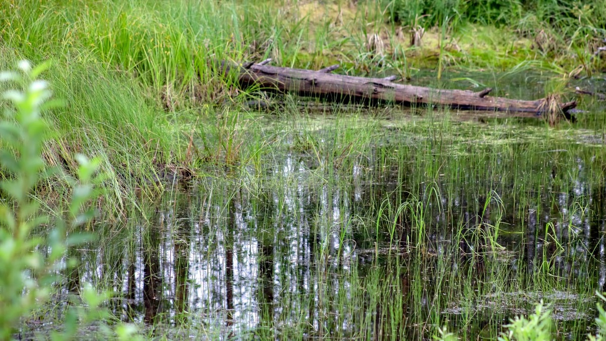 Фото: Global Look Press/Elena Mayorova