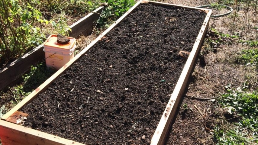 Прежде всего, заблаговременно готовим грядку. Перекапываем ее, удобряем, разравниваем и даем постоять некоторое время, чтобы земля осела.