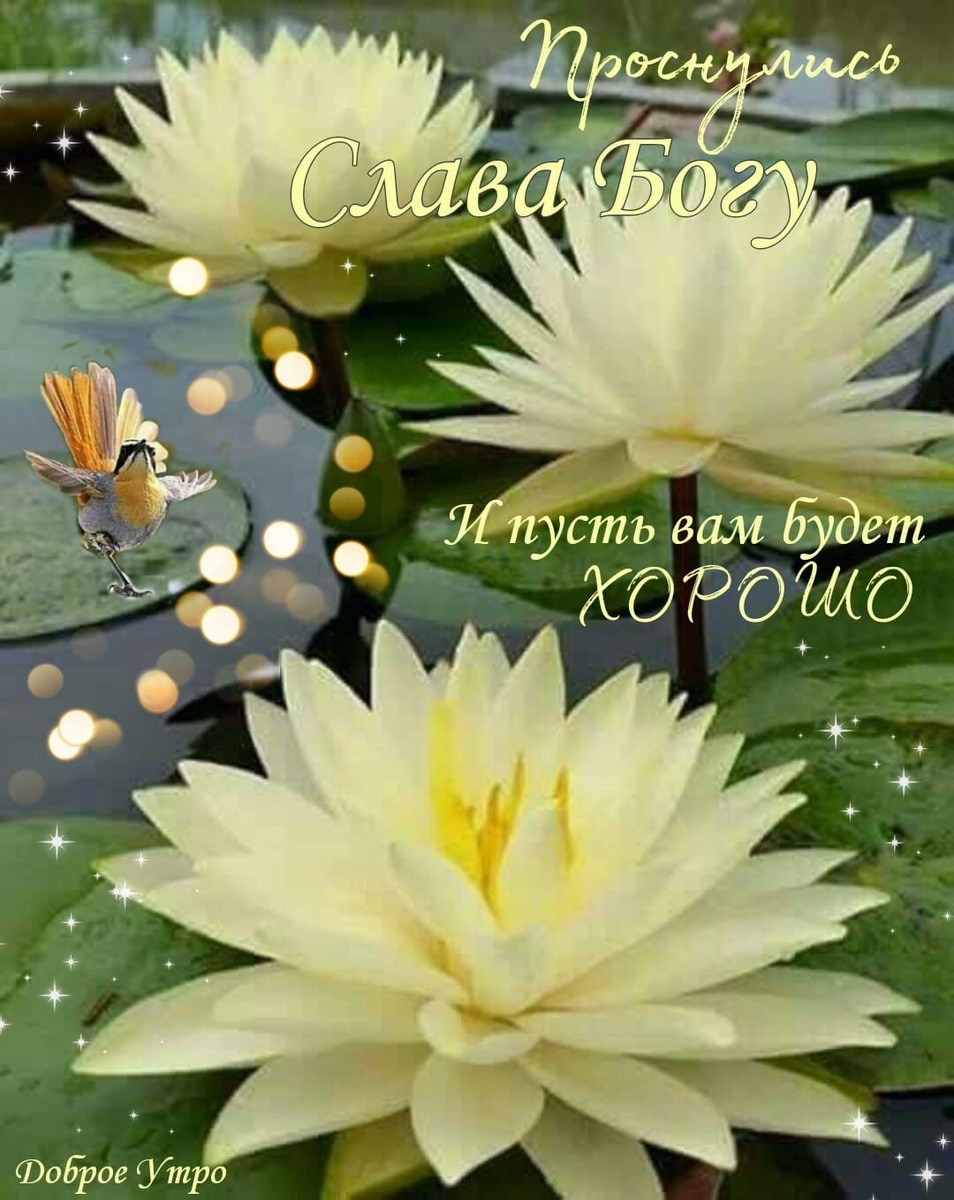 Красота!