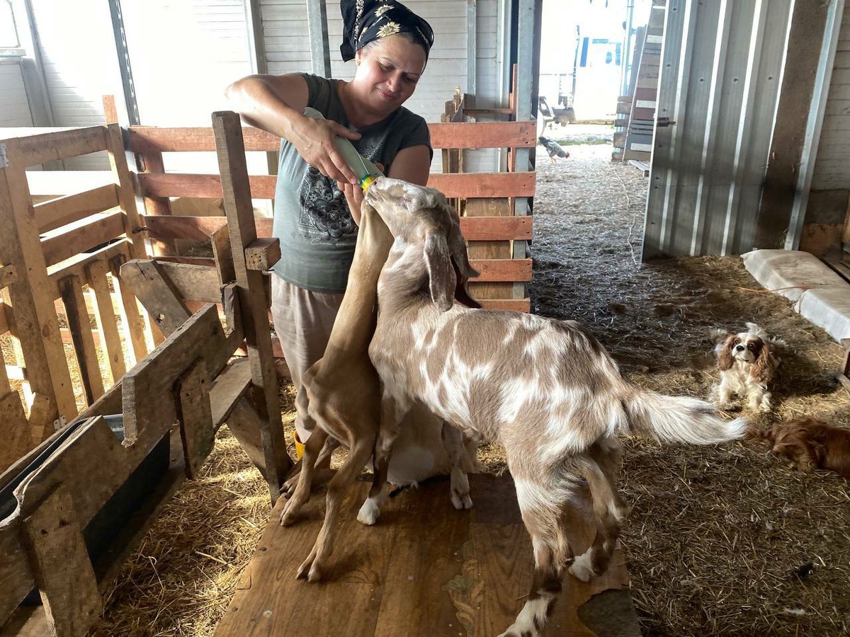 Фото автора