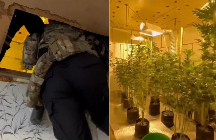 Фото: Управление на транспорте МВД России по СФО