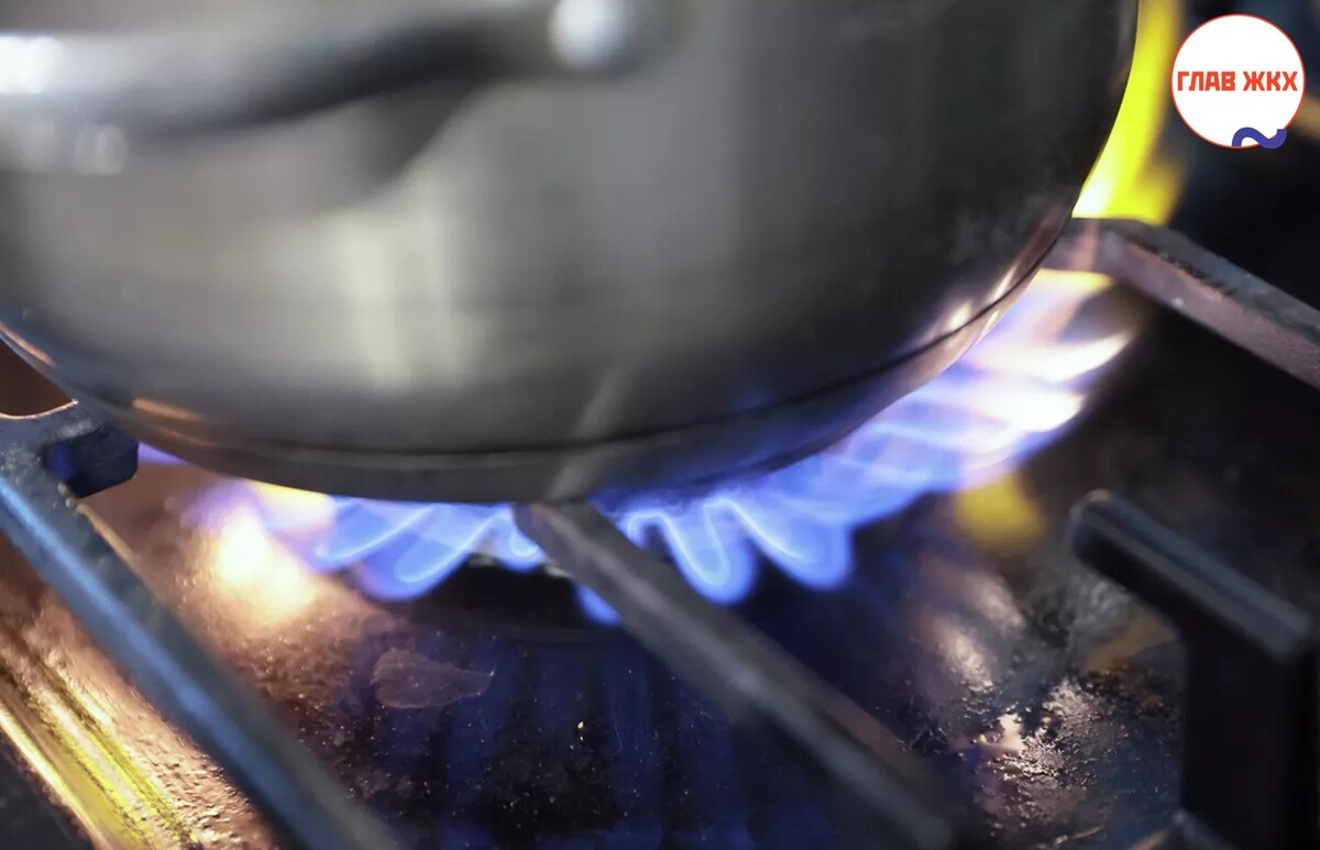 Подмосковье запустило бесплатный сервис по перерасчету платы за газ на портале госуслуг 