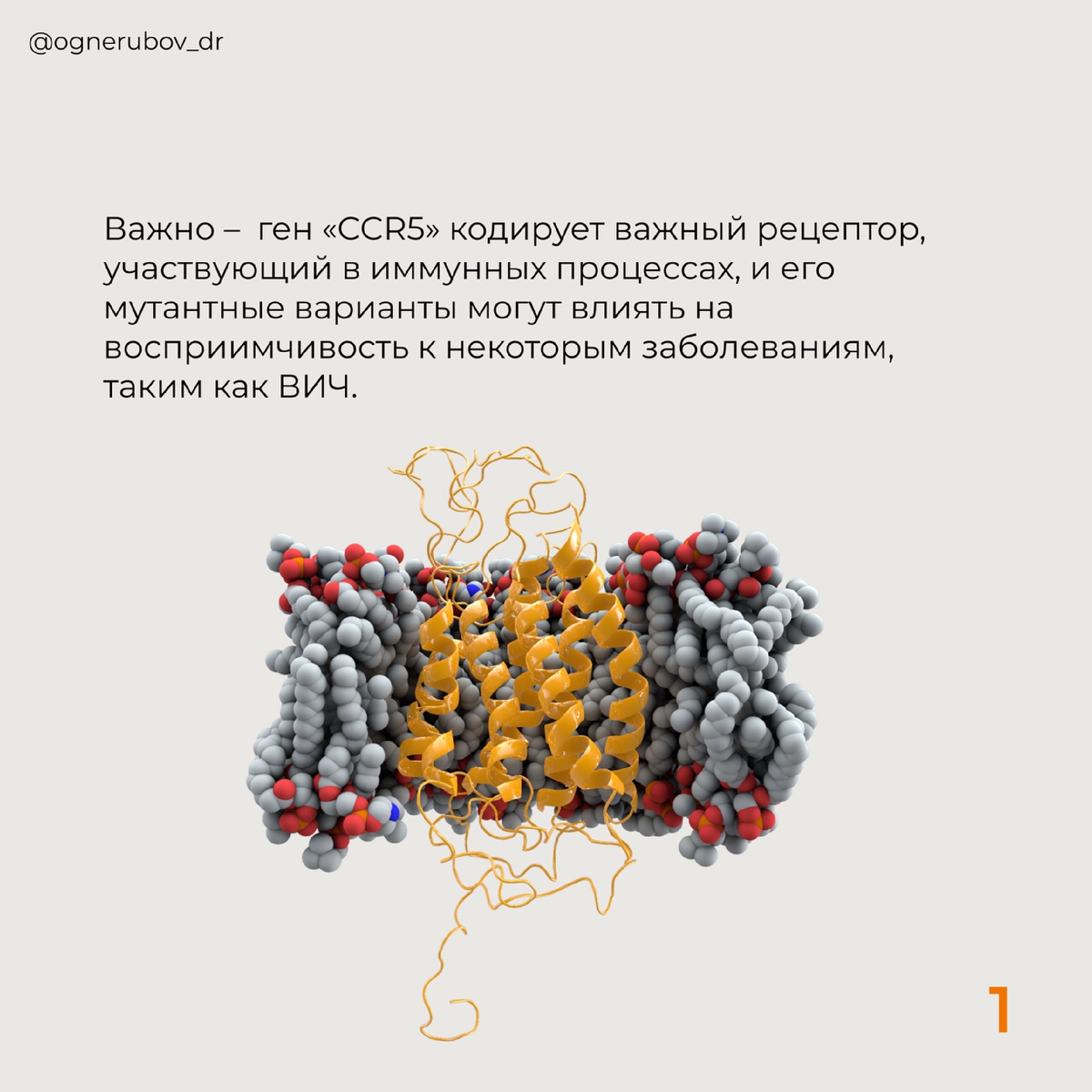 Визуализация гена 
