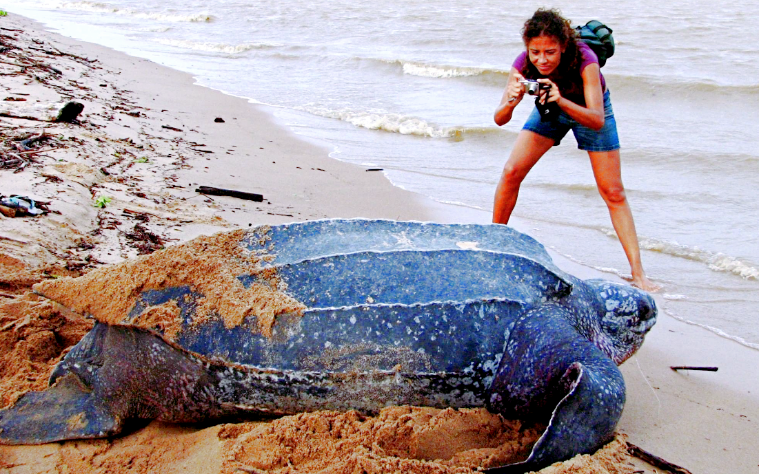 На снимке видны сравнительные размеры героини статьи и человека, фото: viktoriafoto.ru