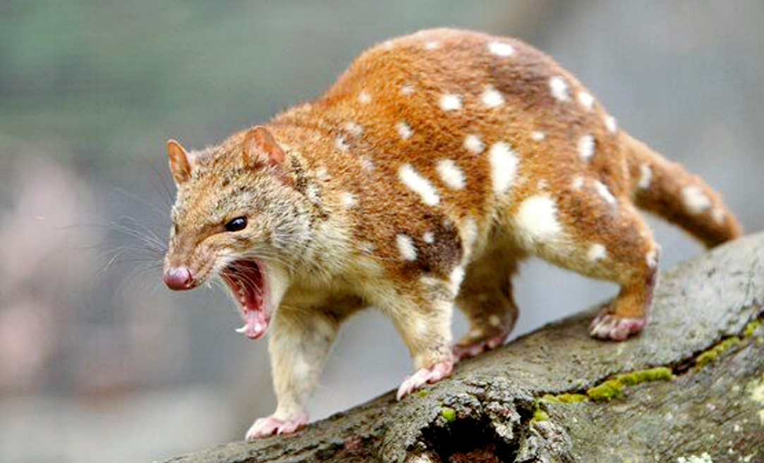 Снимок: steamcommunity.com