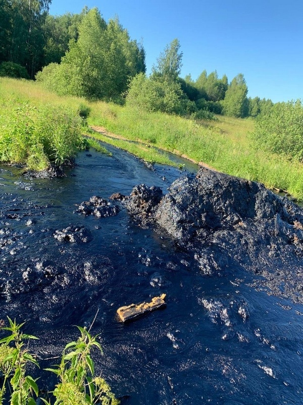     В Ильинском и Вичугском районах на месте сброса мазута превышена концентрация ртути