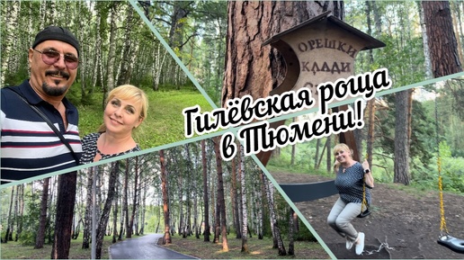 #тюмень. Гилевская роща в Тюмени! Райское место для тюменцев и для туристов! Сказочная благодать!