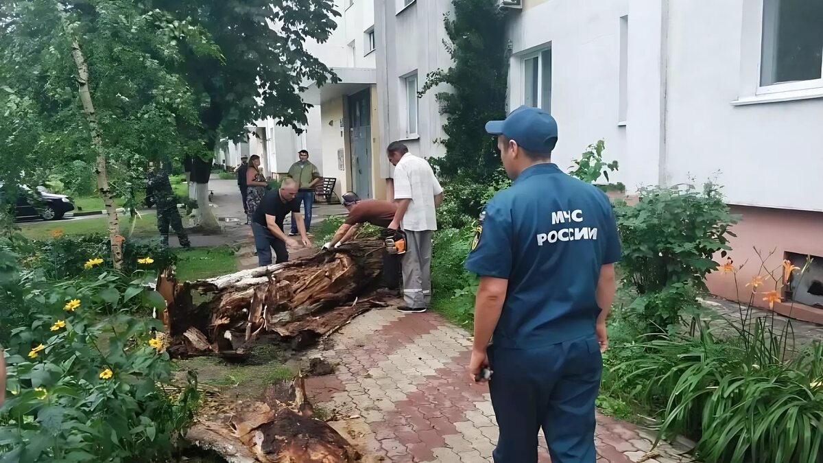     Автор: 31.mchs.gov.ru Источник: для иллюстрации