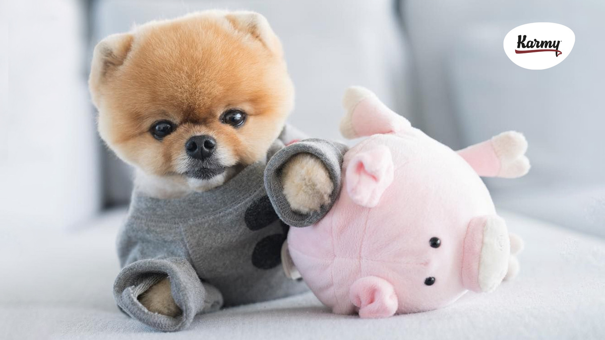 Авторское изображение с использованием картинки с сайта i.pinimg.com