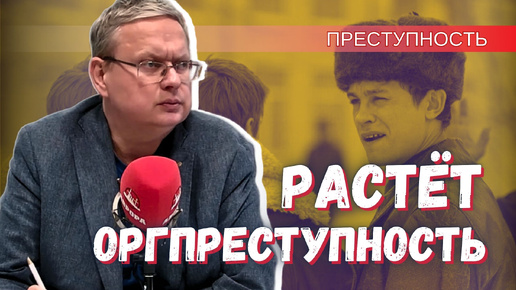 В России растёт масштаб организованной преступности – данные МВД