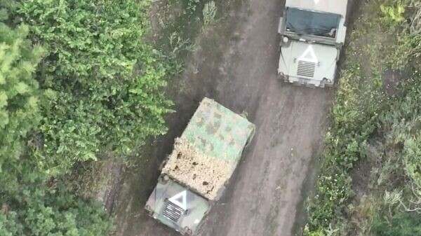   © скриншот видео Два майора / Telegram
