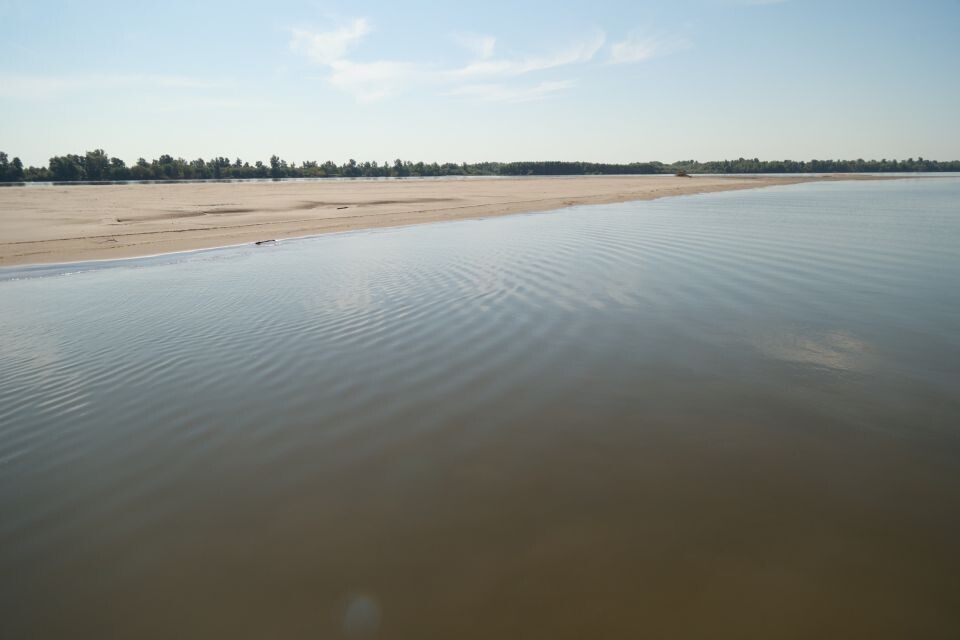    Вид на Обь с борта теплохода. Источник: Олег Укладов