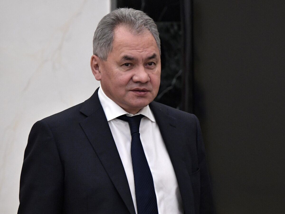    Министр обороны РФ Сергей Шойгу © РИА Новости / Алексей Никольский