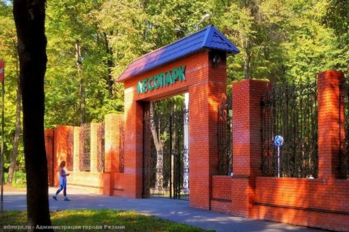    В рязанском Лесопарке пройдет День физкультурника