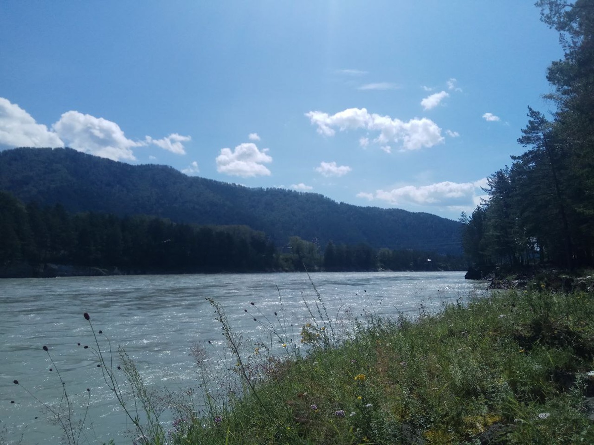 Горы Алтая. Чемал. В Катуни нельзя расслабиться и искупаться, это может стоить жизни. Зависимость работает так же. 