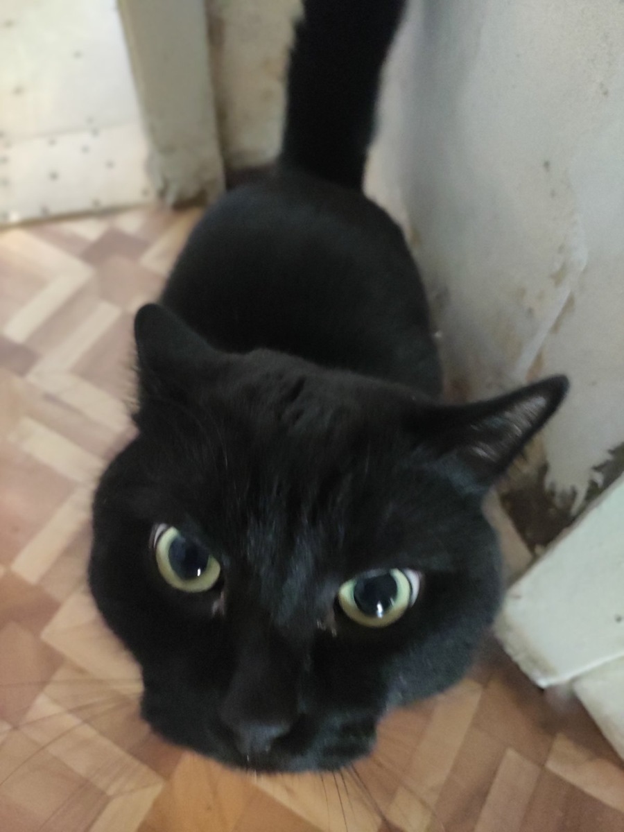 Фото автора. А это Стасик собственной персоной.