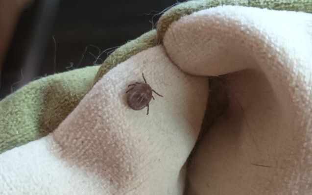 SM.News Тюмень📷
