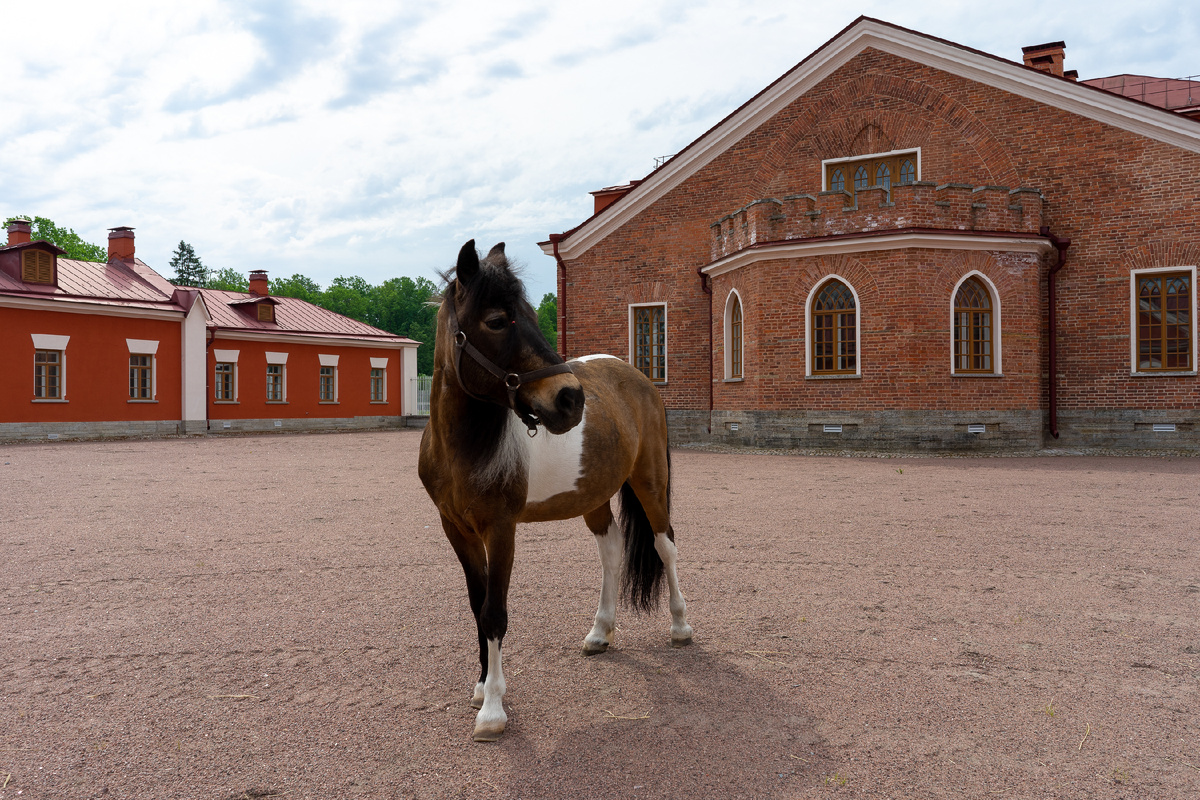 Фото: ГМЗ «Царское Село»