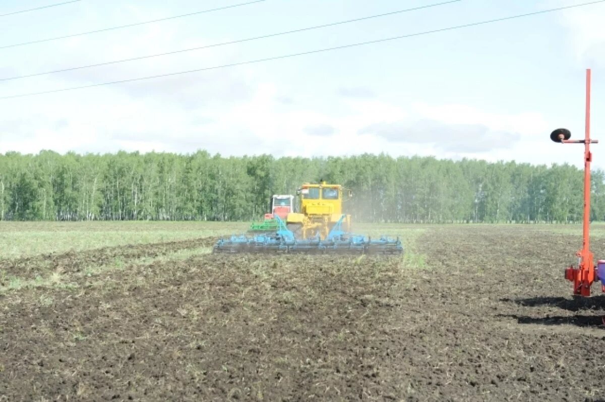    Уборочная кампания стартовала в Красноярском крае