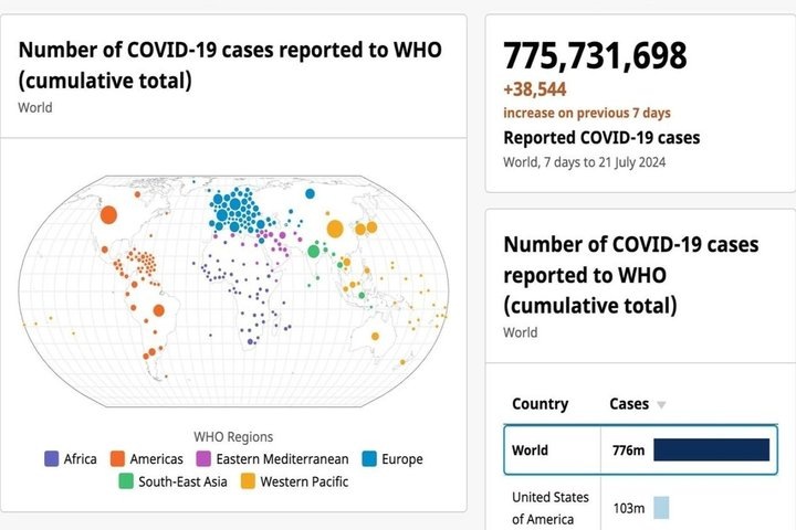 Согласно статистике ВОЗ, с начала пандемии по всему миру коронавирусную инфекцию подтвердили у более 775 млн человек. скриншот сайта data.who.int