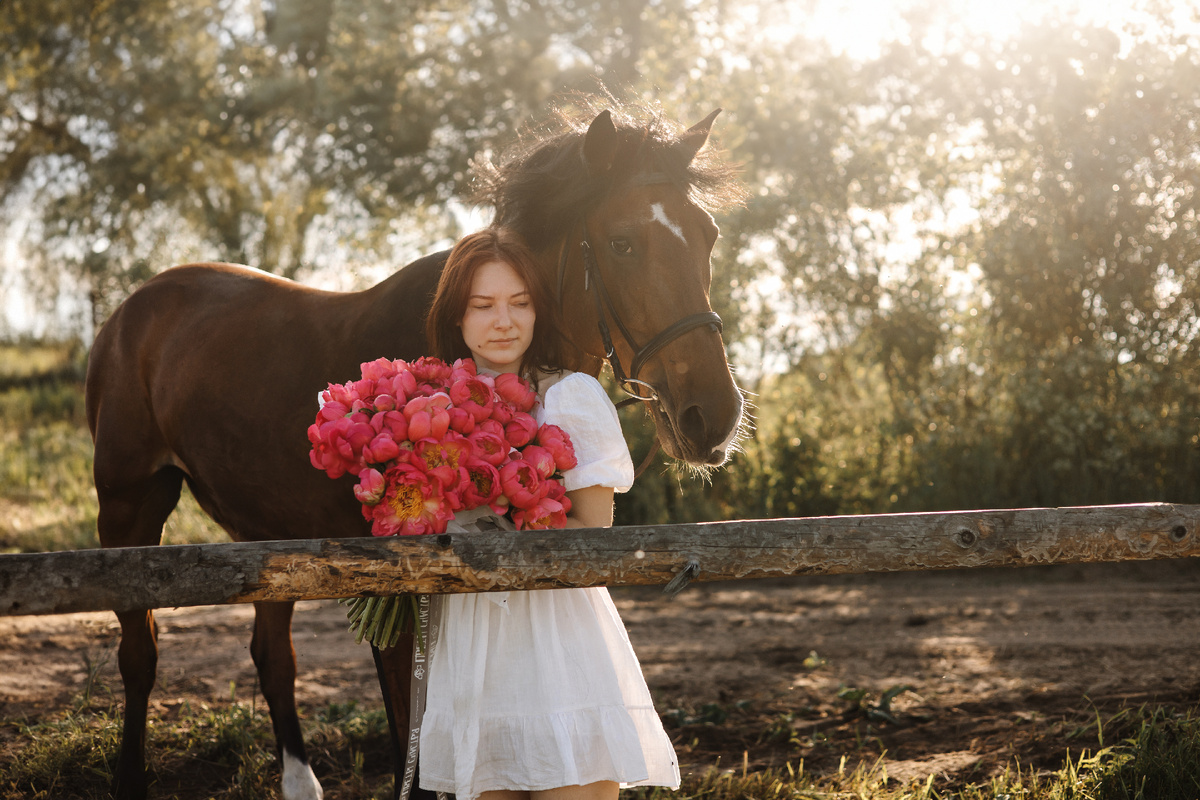 Пионы Coral Sunset поставляемые в Россию из Нидерландов