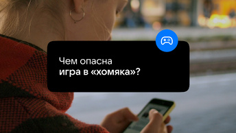 Хамстер комбо 22 августа