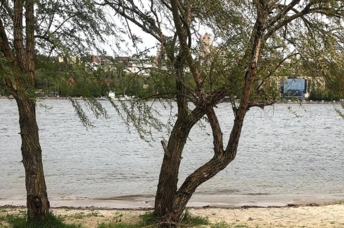    В Ростовской области утонула 55-летняя женщина