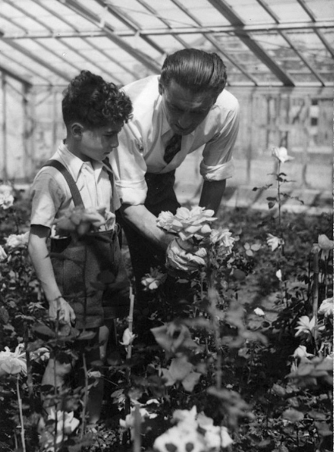 Френсис и Ален Мейян