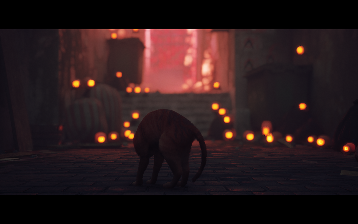 Лучше бежать, а не фотографировать