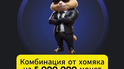 Комбо hamster kombat 7 августа
