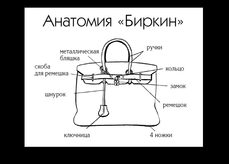 Иллюстрация из книги