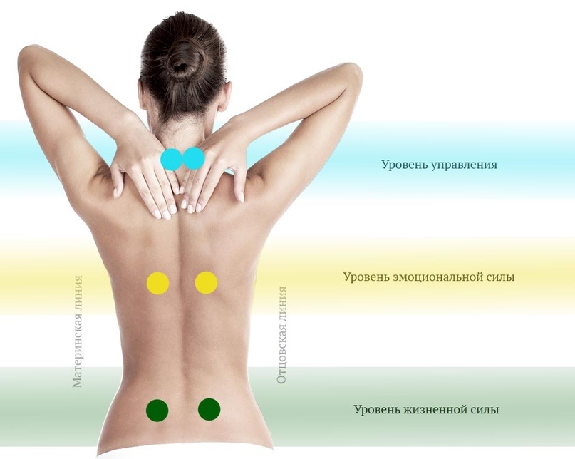  Точки вхождения родовых потоков