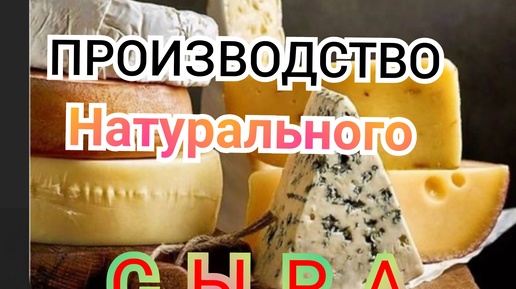 ВСЕ МОИ СЫРЫ теперь здесь 🧀