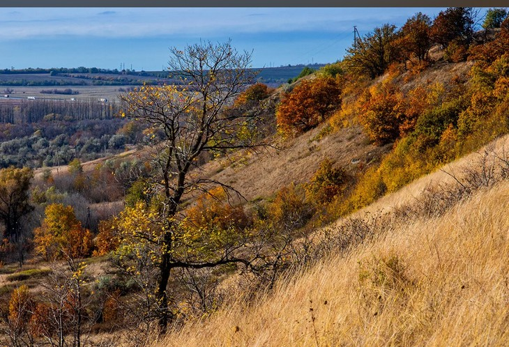 Фото Алексея Коверзнева