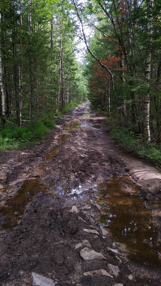 Состояние дороги-тропы