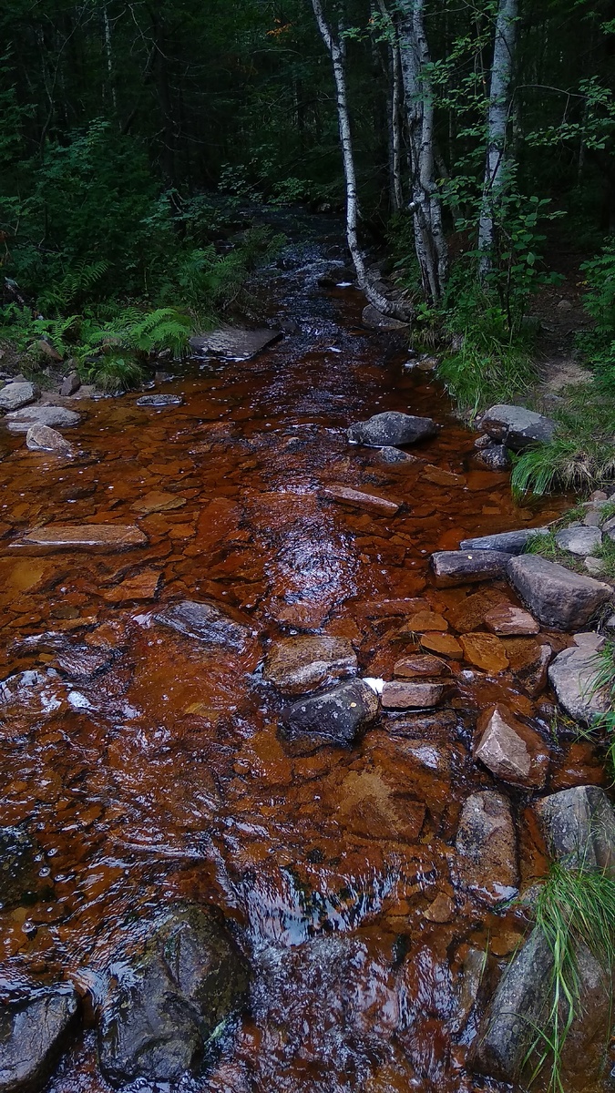 Привал у моста через приток Киалима