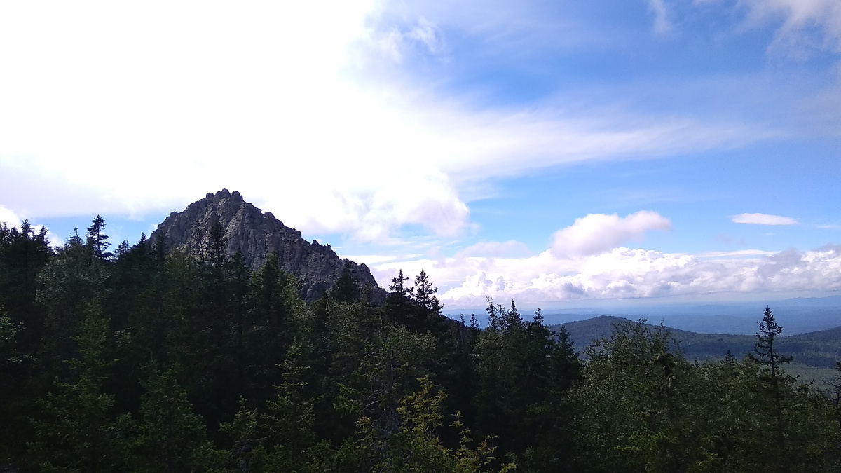 Откликной гребень